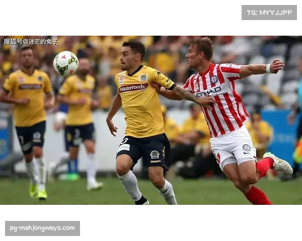 主场迎战墨尔本城，狮吼中场期待反弹以终止连败